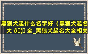 黑狼犬起什么名字好（黑狼犬起名大 🦁 全_黑狼犬起名大全相关）